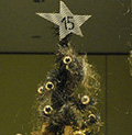 2009 nr. 15
